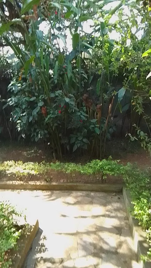 Gasthof Dream Jet Cottages Entebbe Uganda
